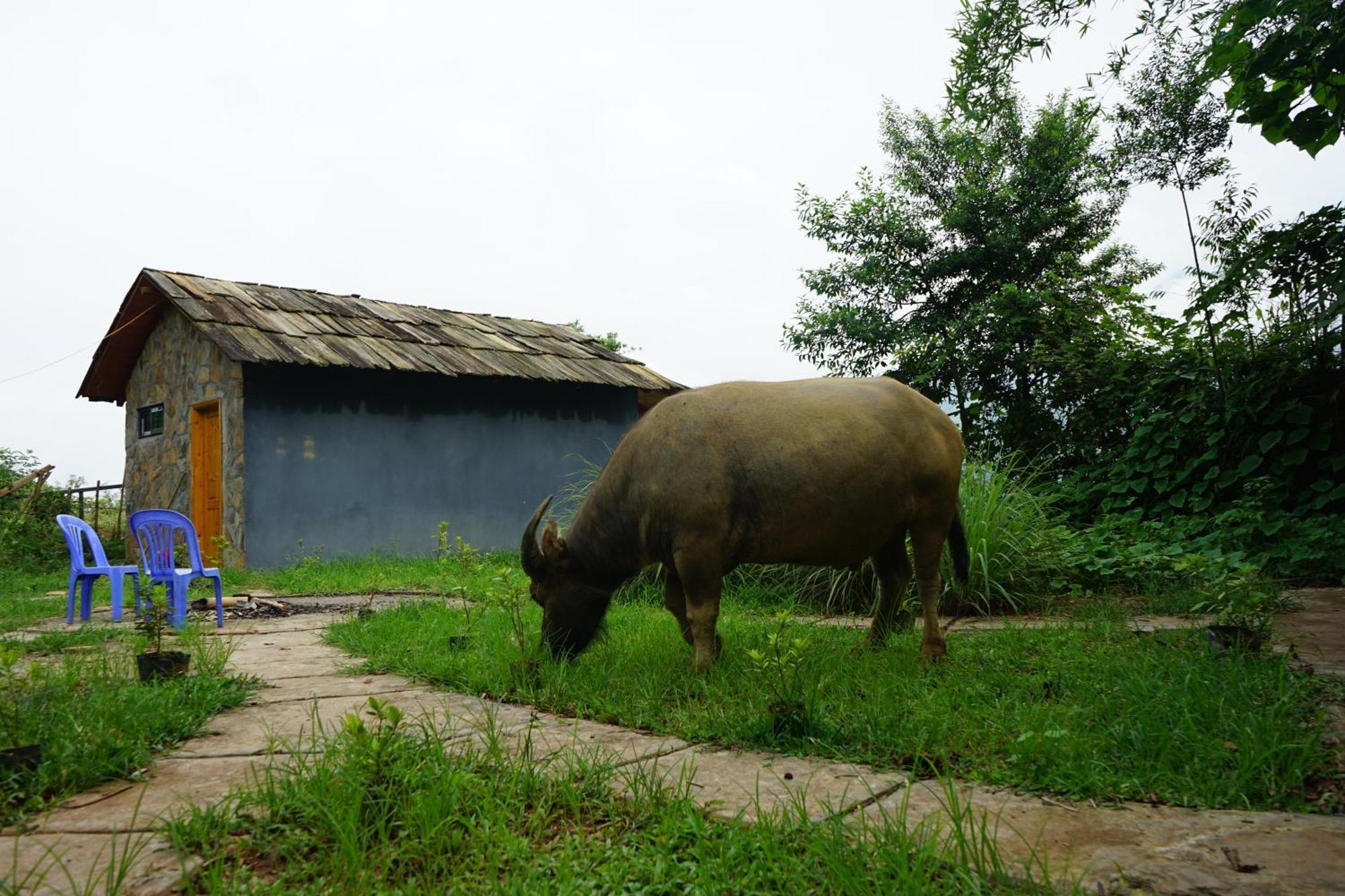 Sapa Hillcrest Homestay Lao Cai Zewnętrze zdjęcie