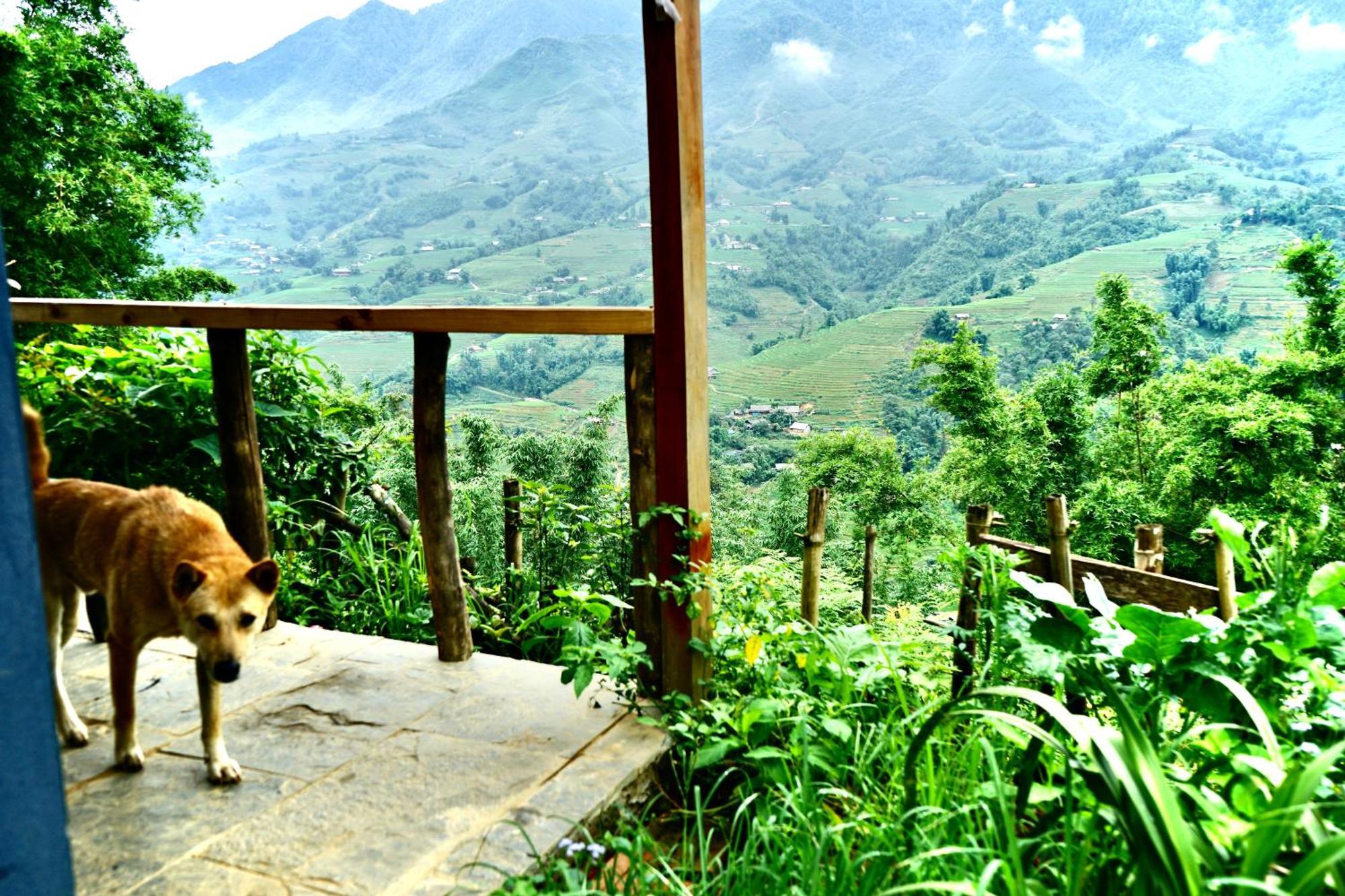 Sapa Hillcrest Homestay Lao Cai Zewnętrze zdjęcie